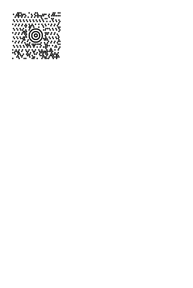 ZPL-Vorschau: ^BD · UPS-MaxiCode